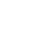 公式X